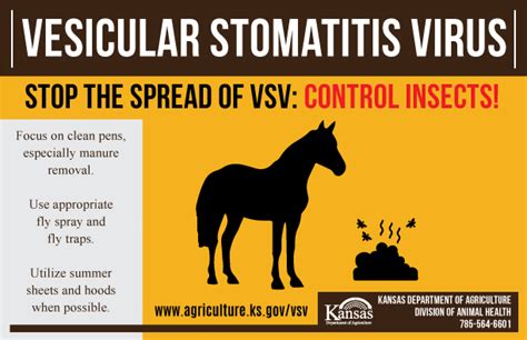 Vesicular Stomatitis Virus