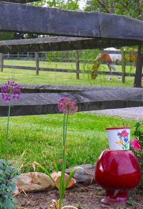 Farm Horse And Garden Scene Stock Image Image Of Garden Colorful