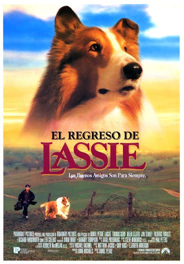 El Regreso De Lassie Carteles De Cine