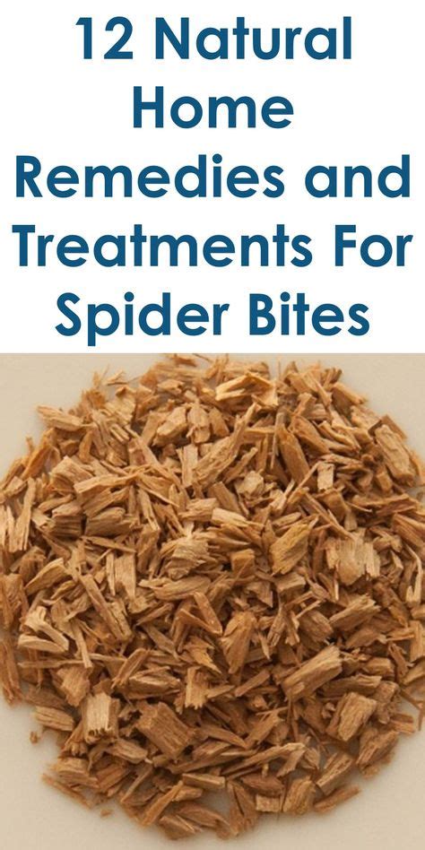 The 25 Best Brown Recluse Bite Stages Ideas On Pinterest Brown