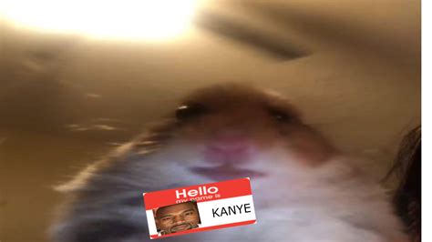 Kanye Hamster First Day At School Rkanye