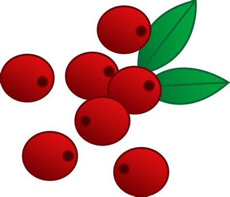 Red Cranberries Vector Art Free Clip Art