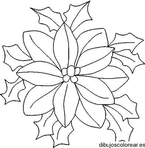 Los estambres, pétalos y hojas están diseñados como una tira de papel para permitir el rápido rodar / quilling. Flor de pascua para colorear - Imagui | Flor de nochebuena ...