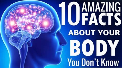 10 Amazing And Weird Human Body Facts You Dont Know Youtube