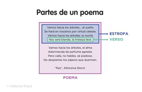 Tipos De Poemas Características Y Ejemplos