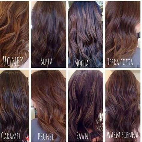 8 Different Shades Of Brunette Hair Types Of Brown Hair Brunette