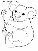 Koala Coloring Animal Printable Mycoloring Animals Recommended sketch template
