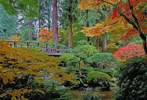 Japanese Garden In Hyper Realism Painting By Elaine Plesser
