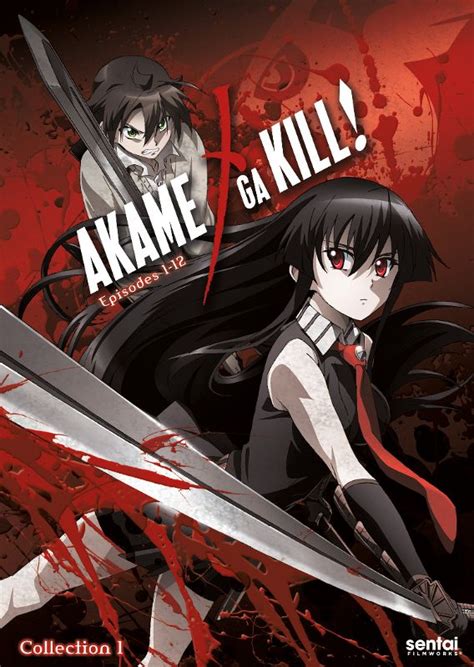 Best Buy Akame Ga Kill Collection 2 3 Discs Dvd