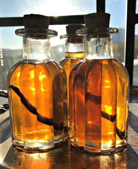 How To Make Your Own Vanilla Extract And A Creepy Story About Vanilla — All Posts Healing