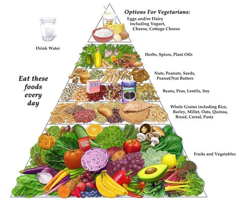 Types Of Vegetarian Diets Vegan Food Pyramid Vegetarian Food Pyramid