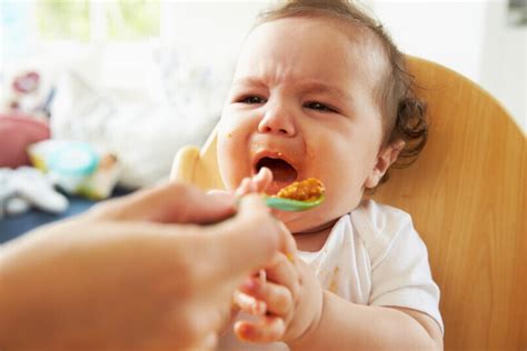 Mi Bebé No Quiere Comer Qué No Debemos Hacer Y Qué Puede Funcionar