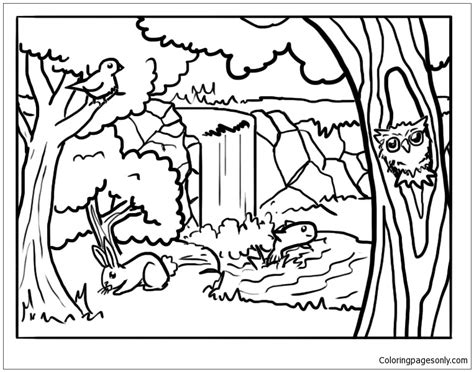 Coloring Pages Of Forest Animals Forest Coloring Page