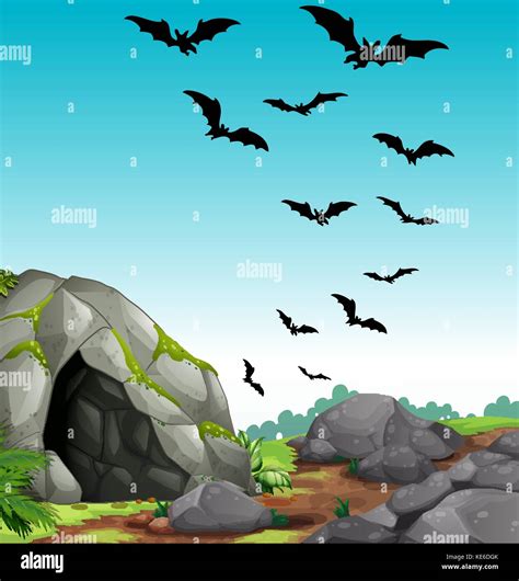 Bats Out Stock Vector Images Alamy