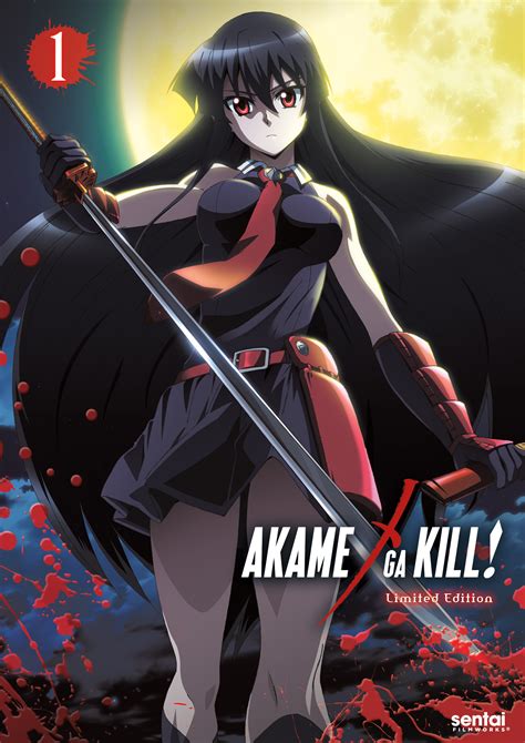 Best Buy Akame Ga Kill Collection 1 Blu Raydvd 5 Discs