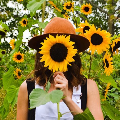 Toronto S The Sunflower Farm Is Opening This Week And It S Stunning Photos Narcity