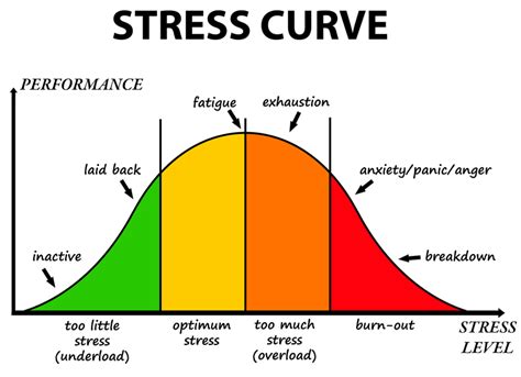 Stress Curve Dr Js Holistic Health And Wellness