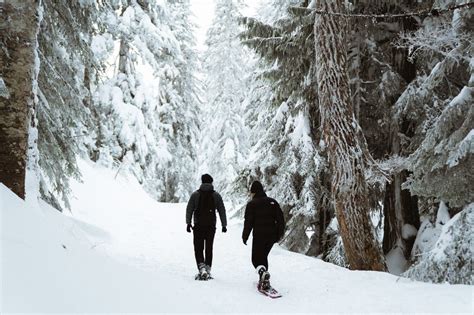 Snowshoeing Vancouvers North Shore