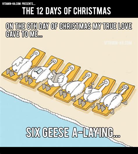 Funny 12 Days Of Christmas