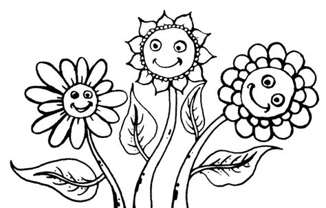 Gambar bunga untuk mewarnai anak. Gambar Bunga Matahari Hitam Putih | Harian Nusantara