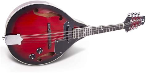 5 Best Electric Mandolins Reviewed In Detail Apr 2024