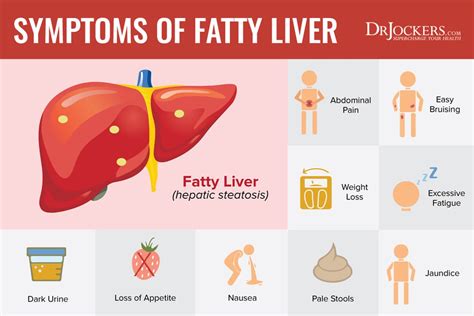Fatty Liver Affects You Even If You Are Slim Know How Liv Healthy Life