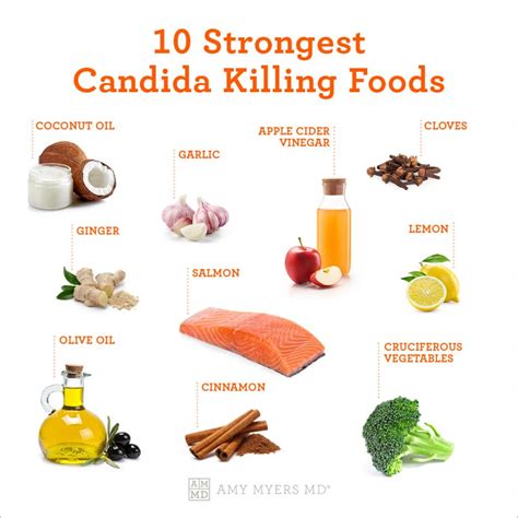 The Anti Candida Diet The Strongest Candida Killers Amy Myers Md