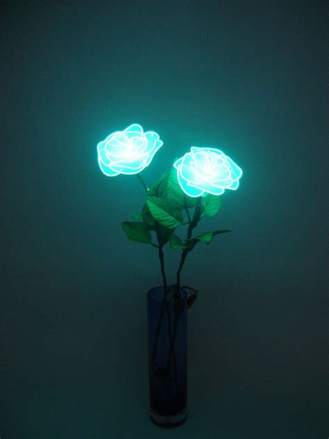 11 Best Images About Flower Glow In The Dark On Pinterest Glow