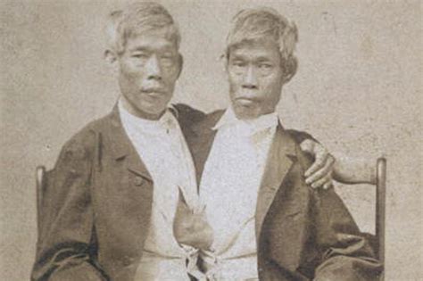 the fruitful sex lives of the original siamese twins new york post