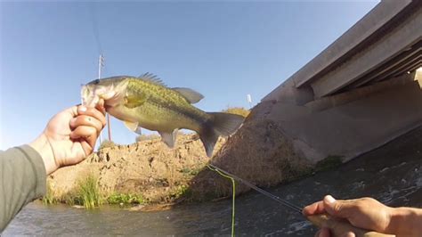 El encuentro será transmitido por el canal espn 2 para toda. Canal/River Fishing for Bass |Ned Rig/Jerkbait/Fly Fishing ...