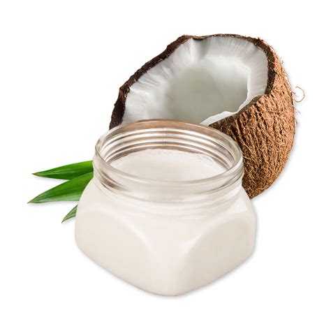 Coconut Milk Png Isolated File Png Mart