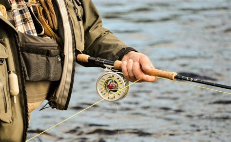 How To Choose The Best Fly Line For Beginners Fly Fish Hub