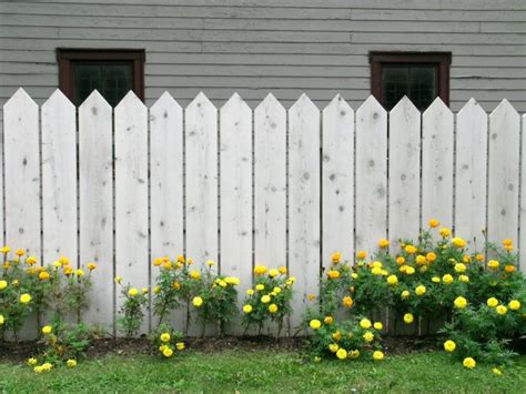 Unser zaun aus polen gunstige kosten gute erfahrungen. Welcher ist der passende Zaun für den Garten - Hier fünf ...