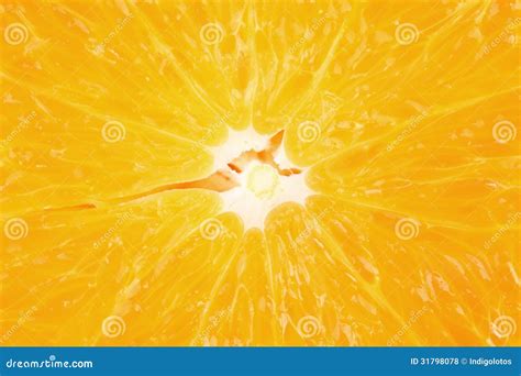 Pulpe Orange Photo Stock Image Du Dessert Citron Beau 31798078