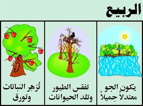 في فصل الربيع تعود تلك الطيور المهاجرة التي يدفعها الحنين لموطنه في هذا الوقت فتجد الجداول والأنهار وتجد الأشجار والأزهار وتبدأ باللعب. فصل الربيع - Ourboox