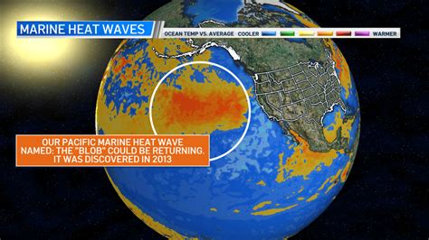 Pacific Marine Heat Wave ‘the Blob May Return Nbc Bay Area