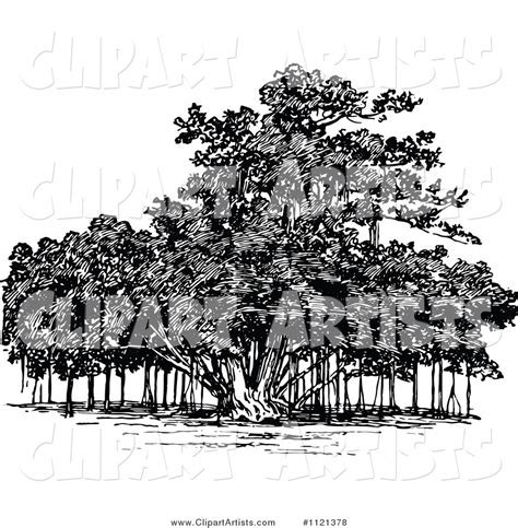 Retro Vintage Black And White Banyan Tree Clipart By Prawny Vintage