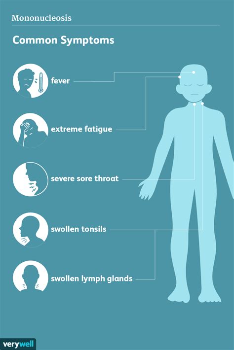 Mononukleose Anzeichen Symptome Und Komplikationen