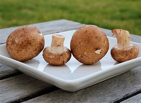 Dyk The Entire Cremini Mushroom Is Edible Which Makes It Our Fav