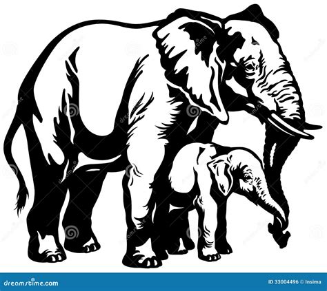 Elephant Mother With Baby Stock Vector Illustration Of Young 33004496