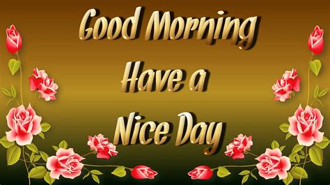 Animated Good Morning Quotes Whatsapp Greetings Video