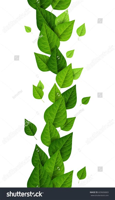 Vertical Border Green Leaves On White Stock Vector 603606869 Shutterstock