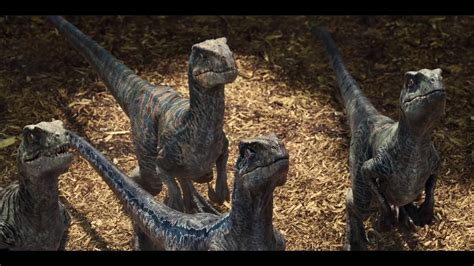 Jurassic World Velociraptor Wallpaper Images