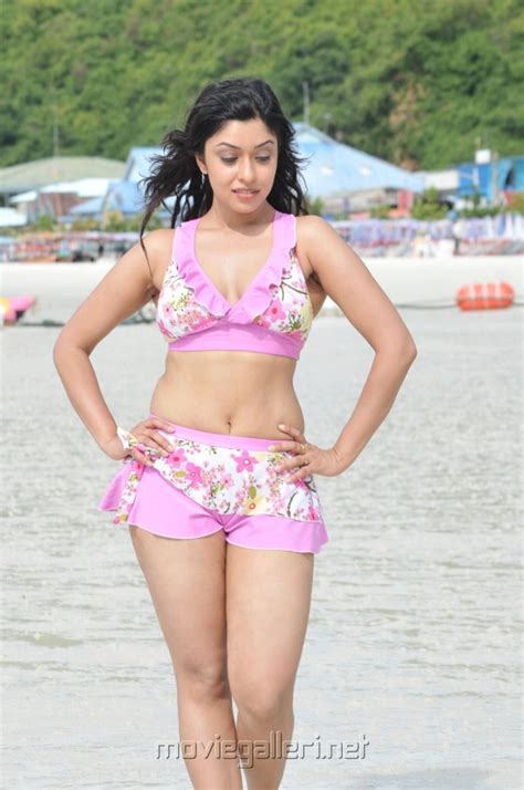 payal ghosh hot bikini photos stills mr rascal telugu movie