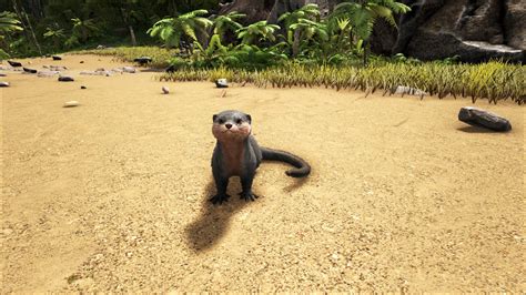 Ark Survival Evolved Neue Patches Bringen Otter Und Phönix Ins Spiel