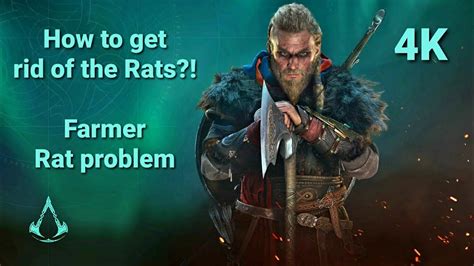 How To Get Rid Of The Rats Assassin S Creed Valhalla Farmer S Rat