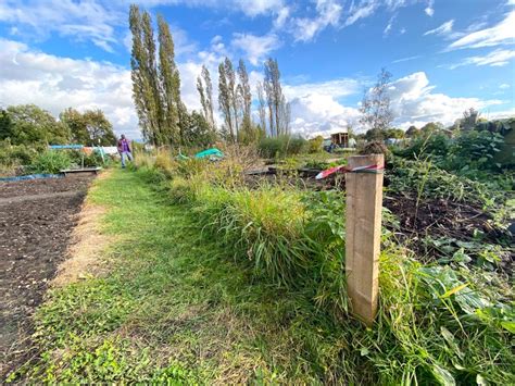 Preparing An Allotment For Winter Our New Plot