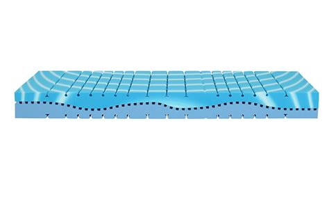 Prices and ratings for panther matratze compare products and find the best offers on switzerland's largest price comparison | toppreise.ch 2in1 Panther Matratze mit GEL-SYS | Groupon