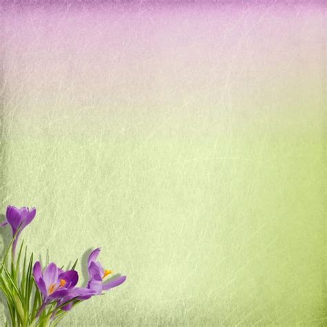 46 Purple And Green Wallpaper On Wallpapersafari