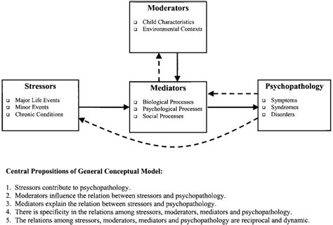 General Conceptual Model Of The Role Of Stressors In The Etiology Of